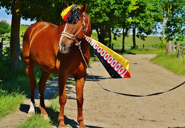 会在交易谈 会在交易谈