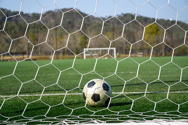 丰富得多 丰富得多