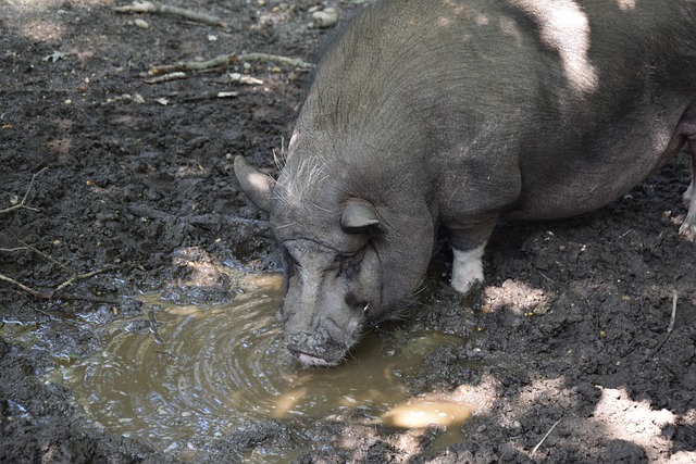 内含福利 内含福利